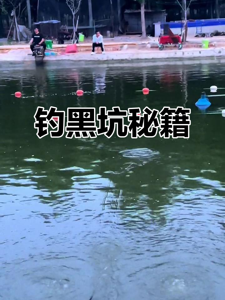 黑坑肥水饵料(黑坑肥水饵料配方) 黑坑肥水饵料(黑坑肥水饵料配方)