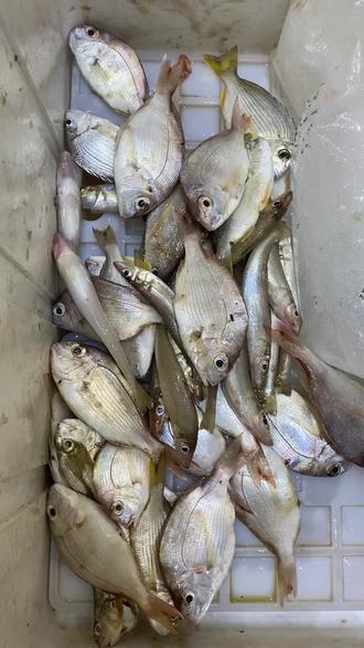 海钓克服杂鱼(海钓怎么避免小鱼)