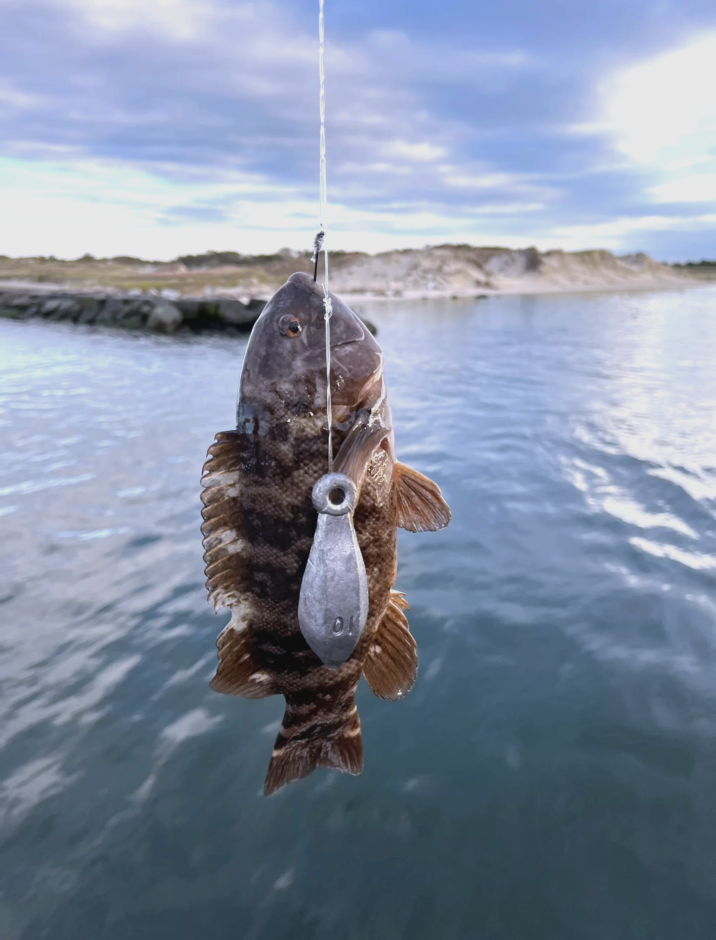 长岛海钓大赛(长岛钓鱼岛赶海攻略)