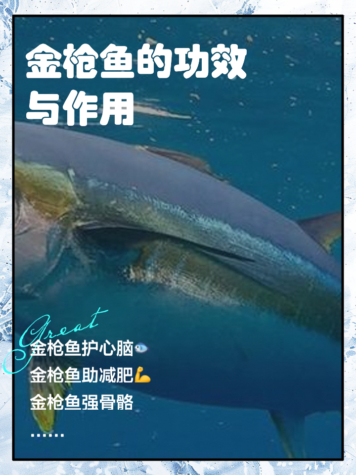 金枪鱼海钓技巧(金枪鱼海钓技巧视频)
