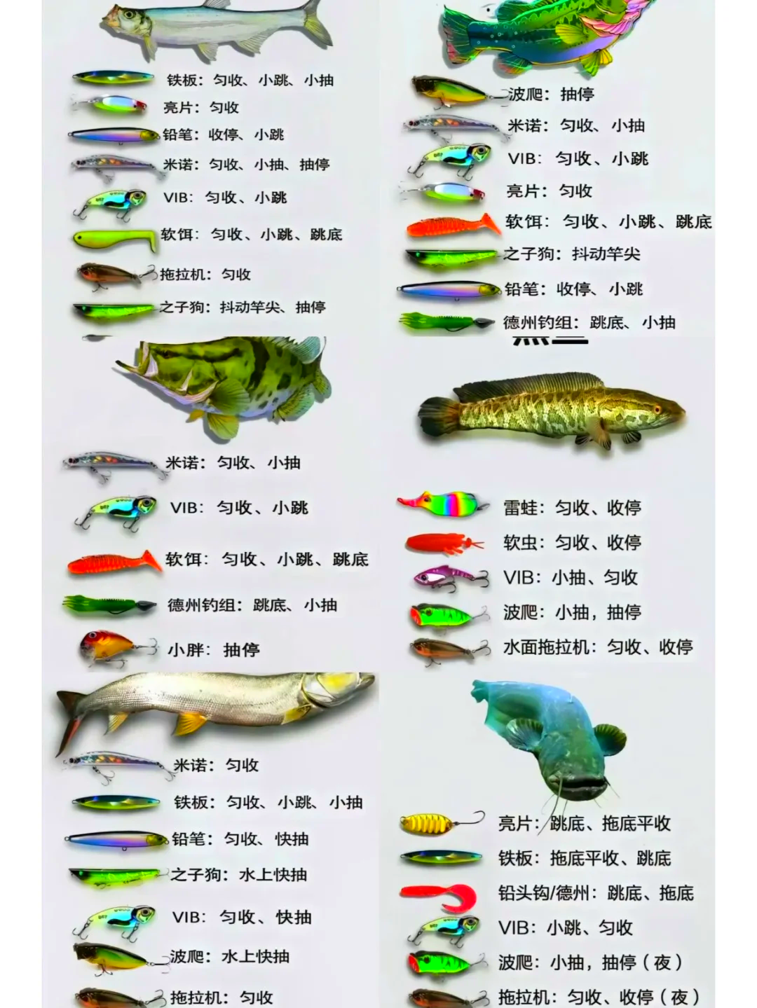 咋样选择草鱼饵料(咋样选择草鱼饵料呢)