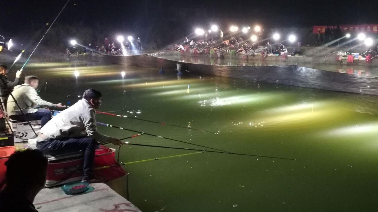 12月夜钓鲤鱼技巧(12月夜钓鲤鱼技巧和方法)