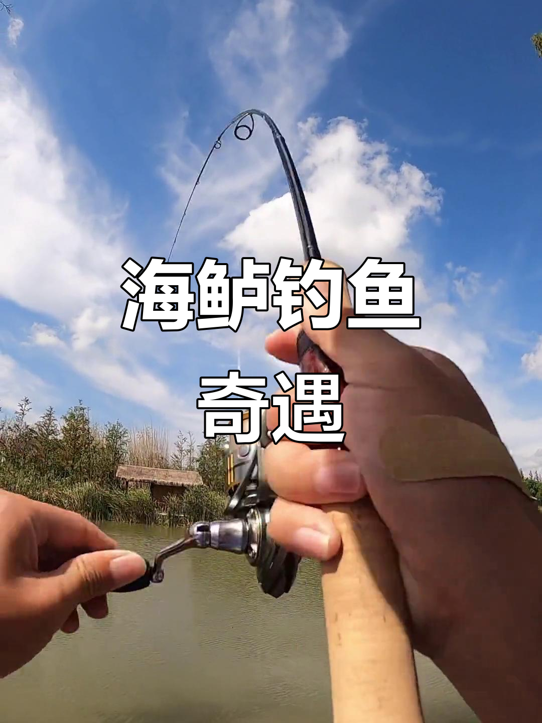 钓鲈鱼技巧视频大全(钓鲈鱼技巧视频大全图解) 钓鲈鱼技巧视频大全(钓鲈鱼技巧视频大全图解)