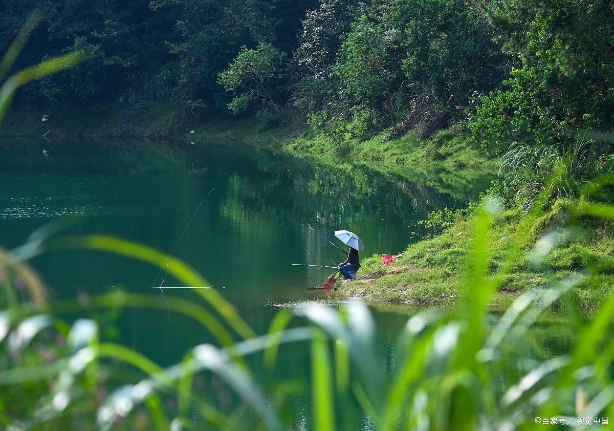 自贡青龙湖水库钓鱼技巧(自贡青龙水库钓鱼收费标准) 自贡青龙湖水库钓鱼技巧(自贡青龙水库钓鱼收费标准)