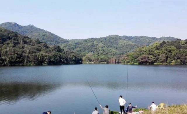 9月份水库钓鱼技巧(九月水库钓鱼钓什么位) 9月份水库钓鱼技巧(九月水库钓鱼钓什么位)