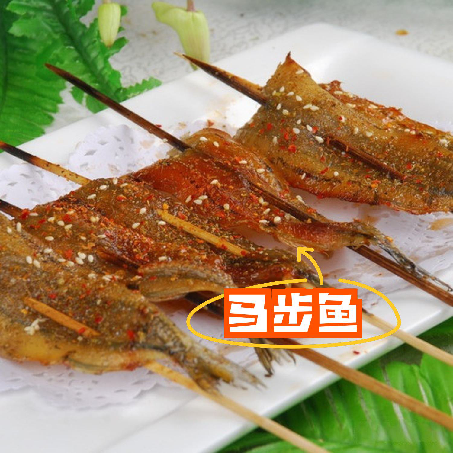 马步鱼海钓时间(钓马步鱼用什么鱼饵最好) 马步鱼海钓时间(钓马步鱼用什么鱼饵最好)