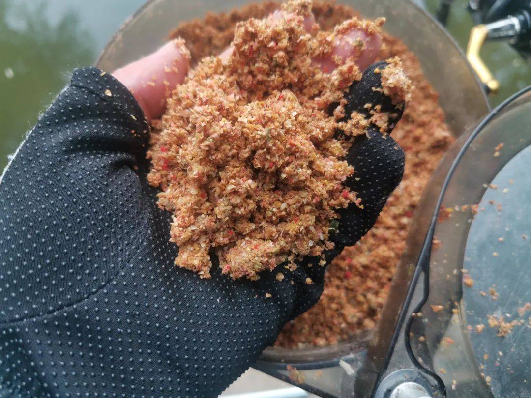 北方秋季钓鲫鱼饵料(北方秋季野钓鲫鱼商品饵料配方)