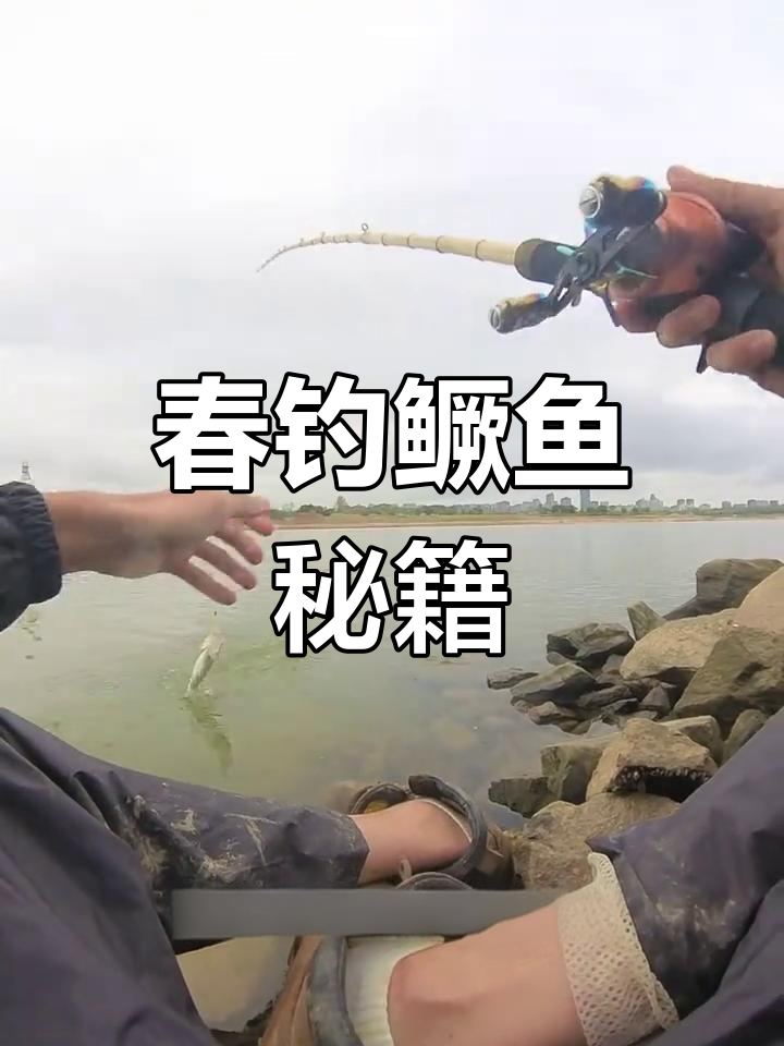 春季野钓技巧全攻略(春季野钓鱼用什么饵料最好)