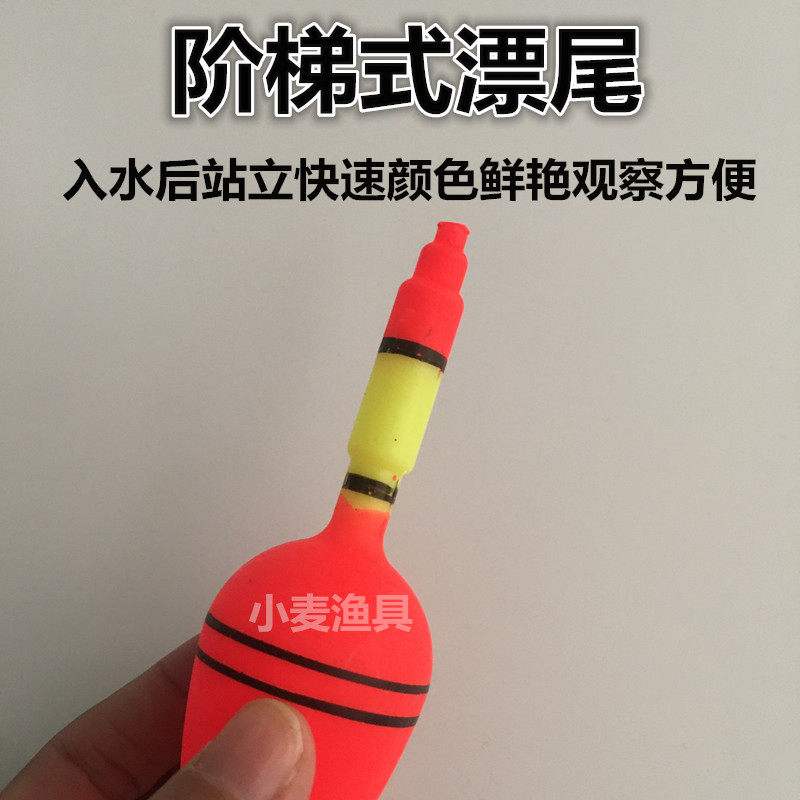 海钓水漂(海钓浮漂怎么调图解)