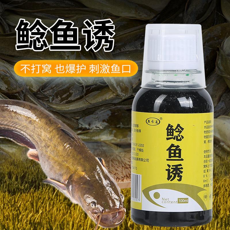 海钓鲶鱼用什么饵料(钓海鲶鱼用什么线组搭配)