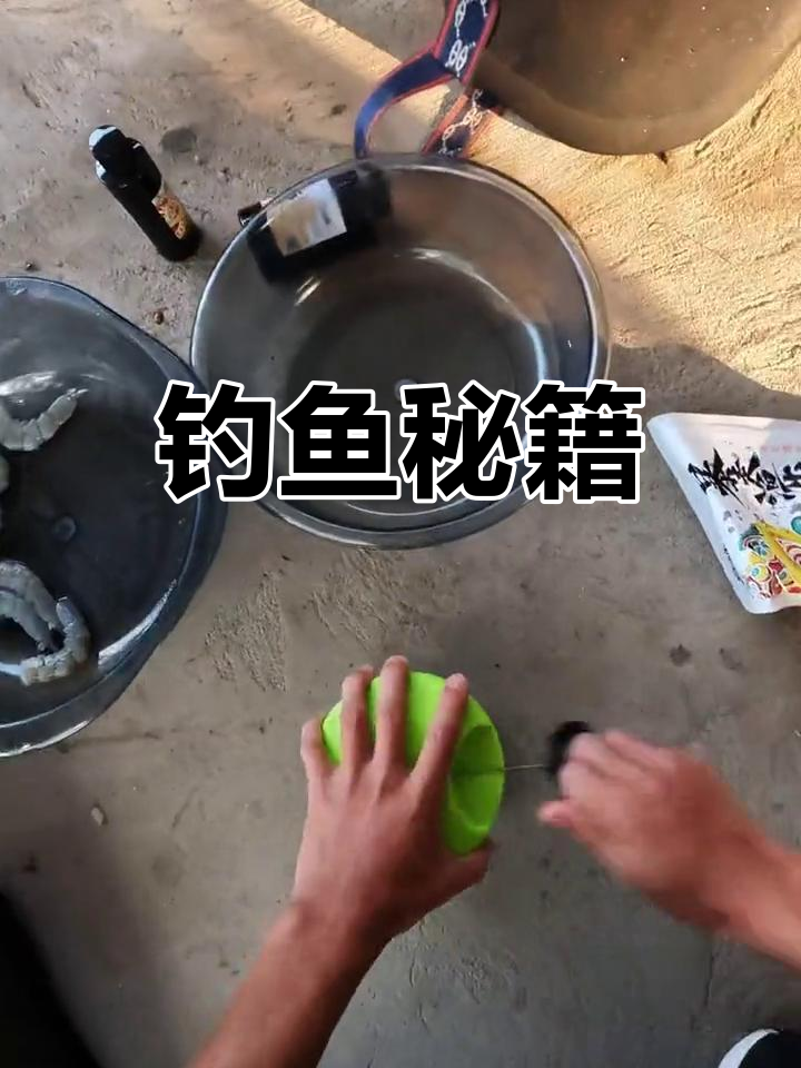 最新黑坑钓鱼技巧(黑坑最新的钓法和饵料)