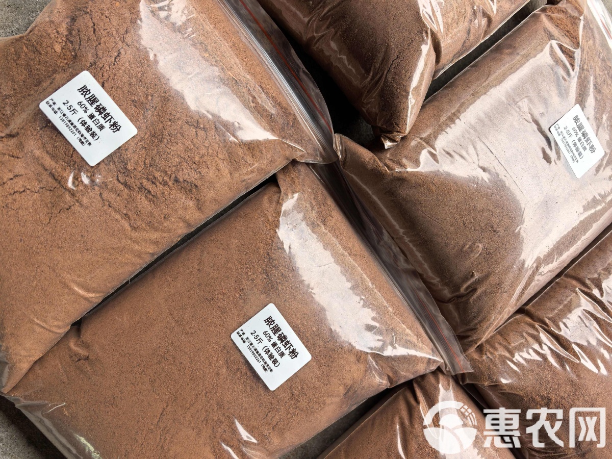 海钓成品饲料如何加工(海钓成品饲料如何加工的) 海钓成品饲料如何加工(海钓成品饲料如何加工的)