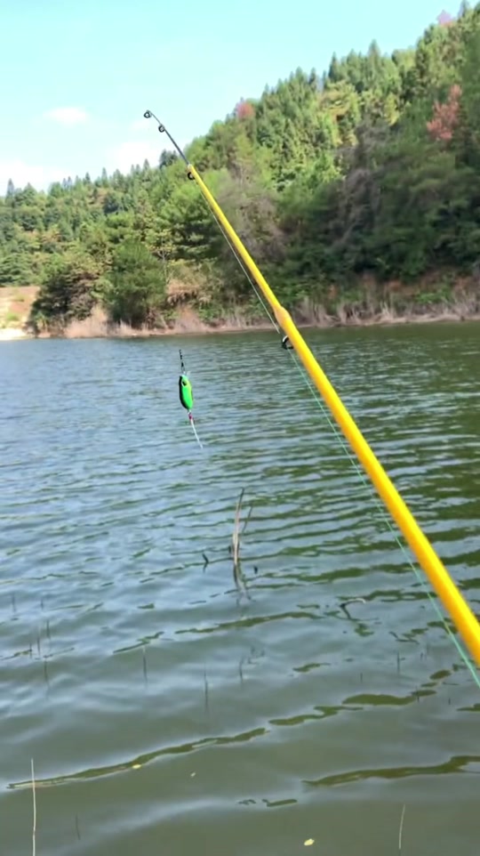 cc60路亚饵视频(路亚cc60可以路亚草鱼吗)