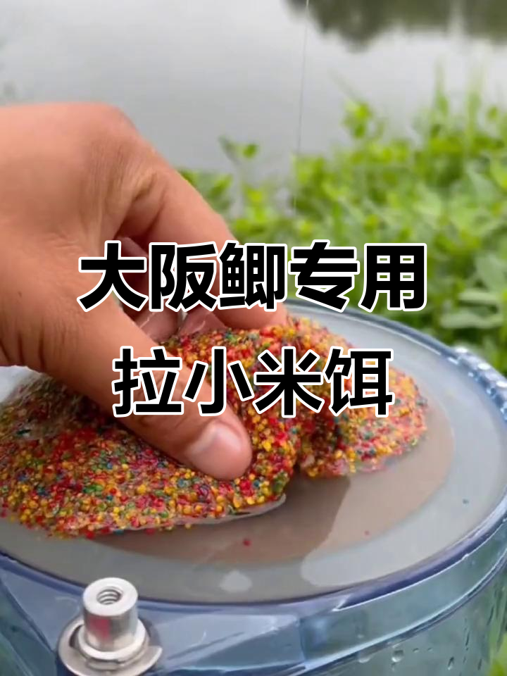 饵料里面加小米视频(鱼饵拉小米用的是什么胶) 饵料里面加小米视频(鱼饵拉小米用的是什么胶)