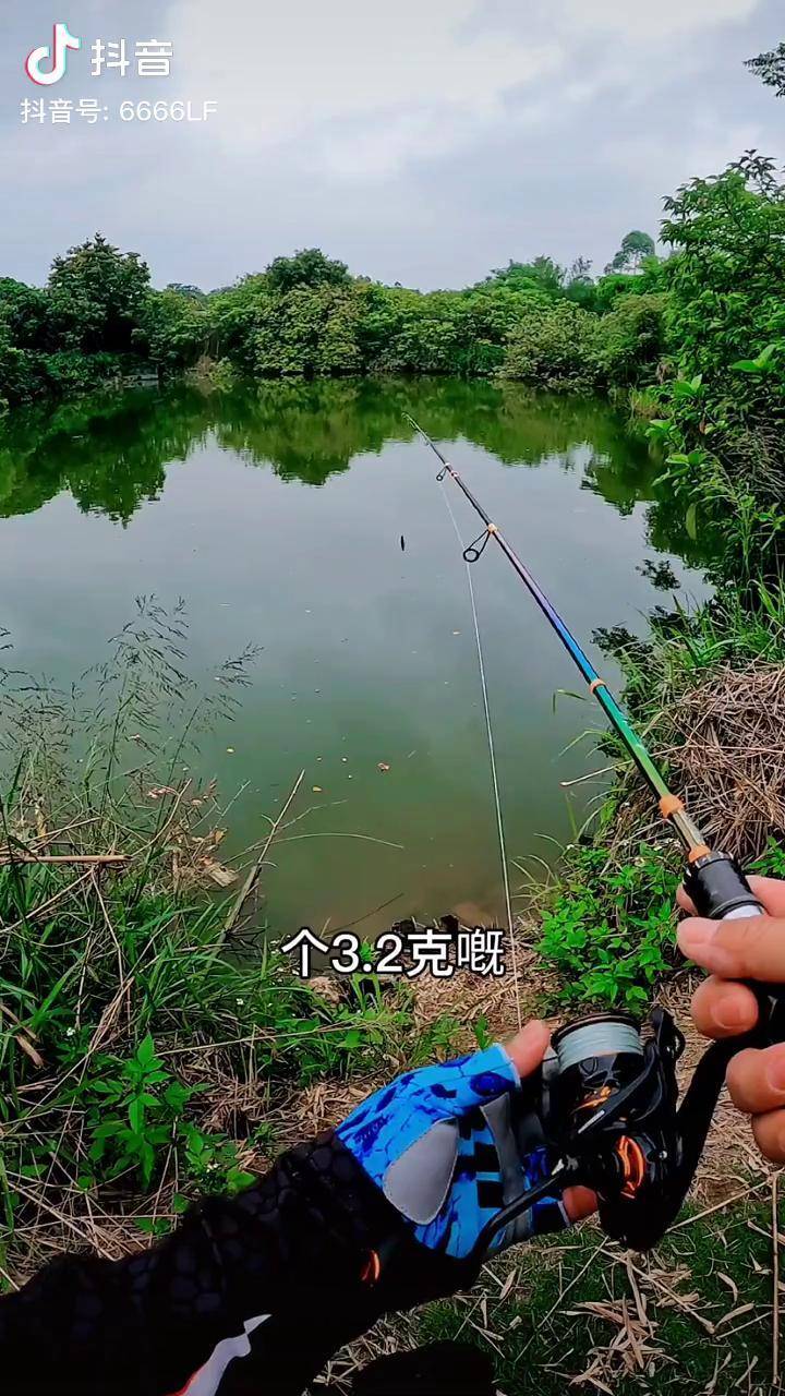 铅笔子弹路亚(子弹铅笔路亚饵) 铅笔子弹路亚(子弹铅笔路亚饵)