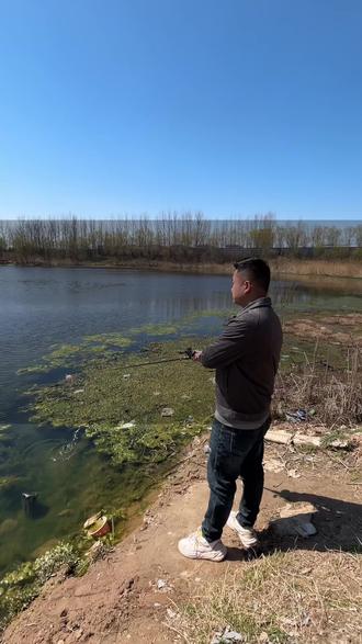 路亚假蛙钓黑鱼视频(路亚钓黑鱼用多少克的假蛙)