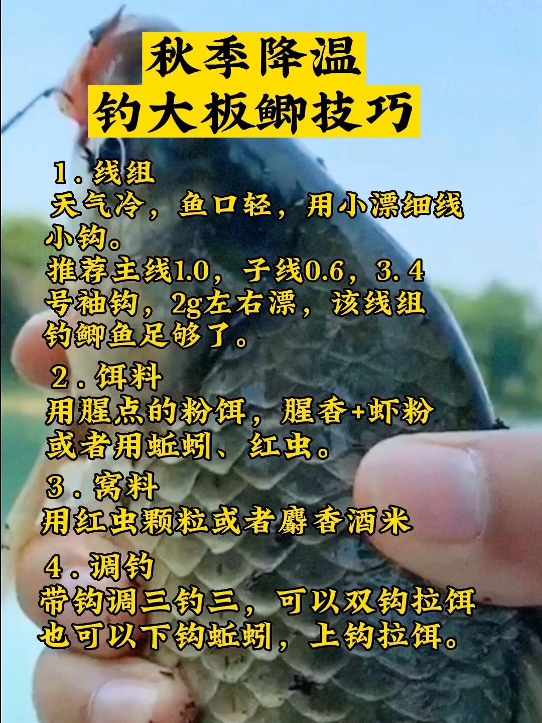 钓小鲫鱼技巧视频(钓小鲫鱼技巧视频教程)