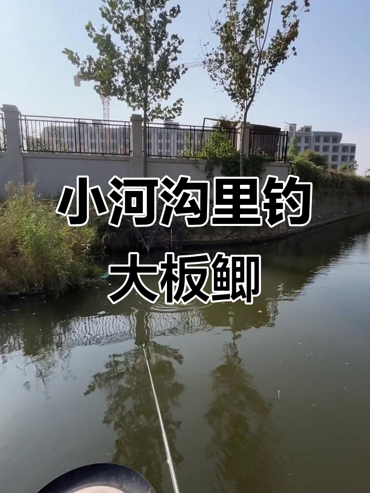 广东河沟钓鱼技巧(广东河沟钓鱼技巧视频)