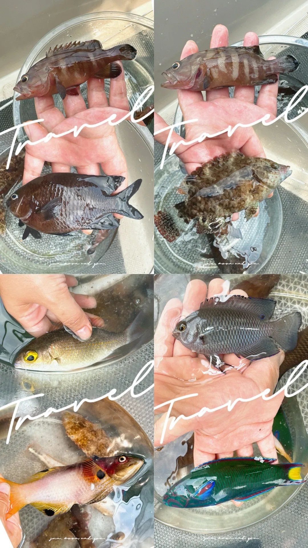 46海区海钓(海钓去哪里钓最合适)