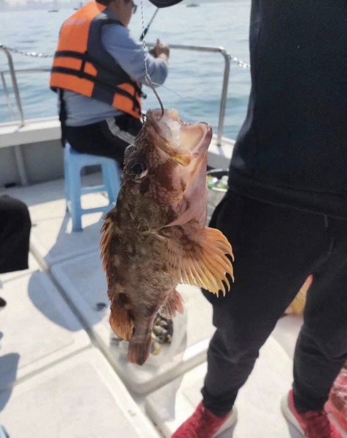46海区海钓(海钓去哪里钓最合适)