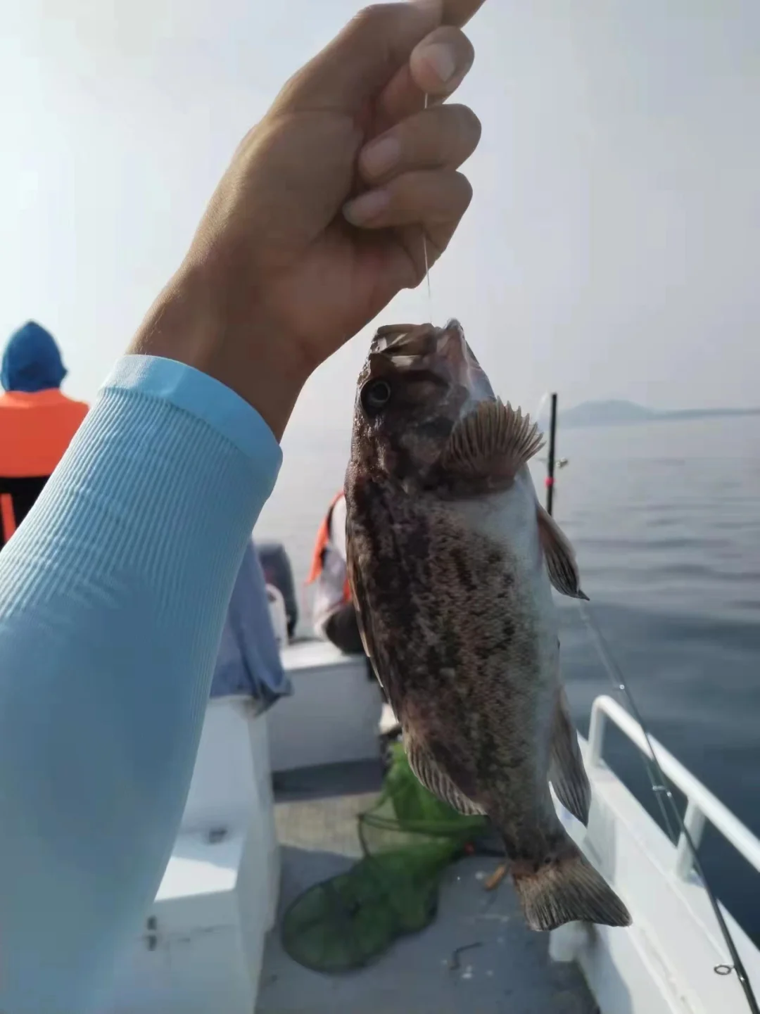 嵊泗海钓租船费用(嵊泗海钓租船费用多少)