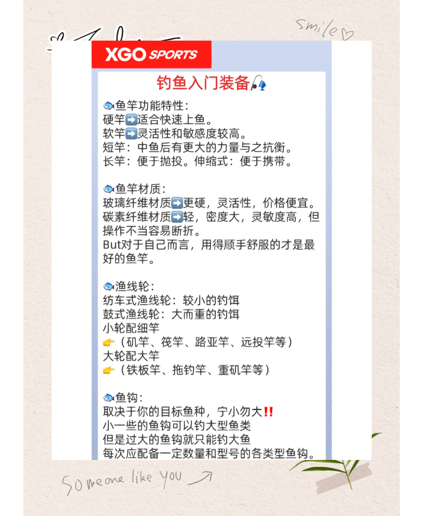 钓马鲛鱼的技巧和装备(钓马鲛鱼的技巧和装备是什么)