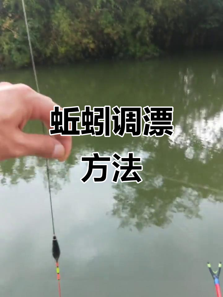 筏竿蚯蚓串钩钓鱼技巧(筏竿蚯蚓串钩钓鱼技巧和方法)