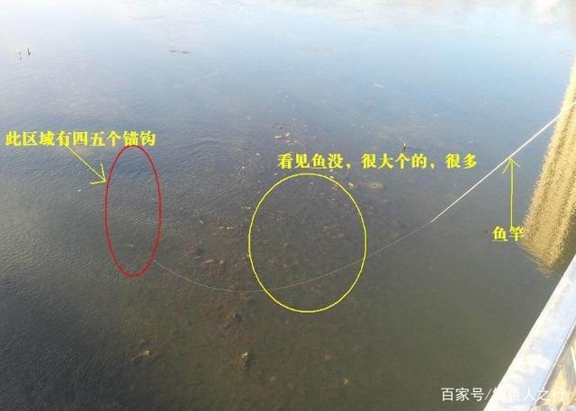 唐山冰钓锚鱼技巧(冰钓锚鱼是什么原理) 唐山冰钓锚鱼技巧(冰钓锚鱼是什么原理)