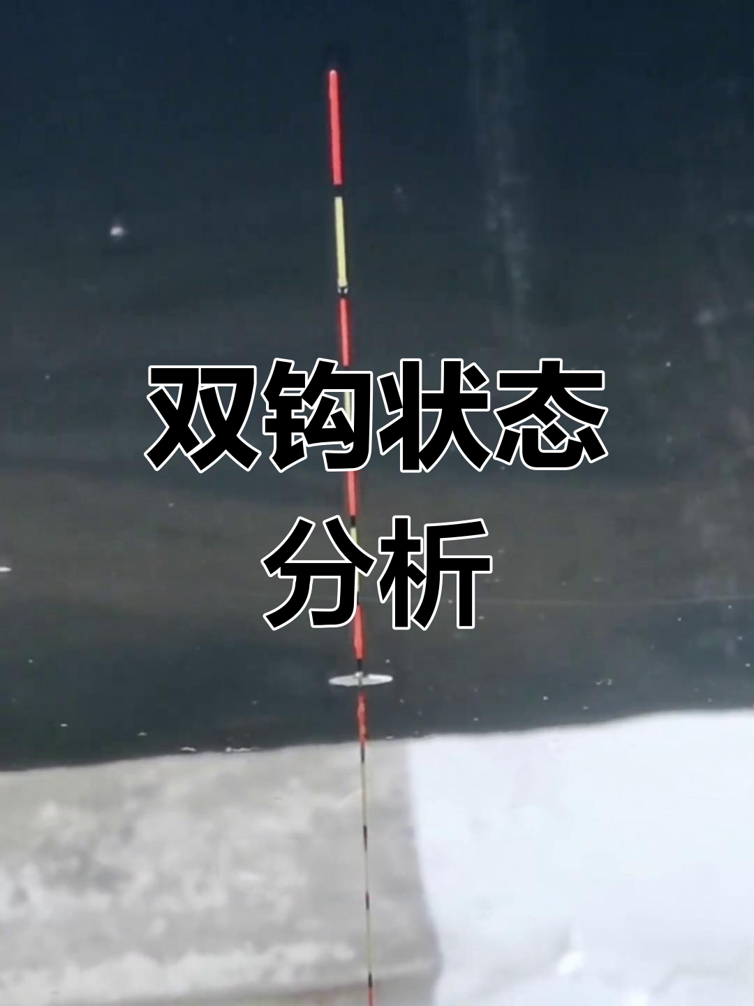 鱼吃饵料浮漂动作(鱼吃饵料浮漂动作图片)