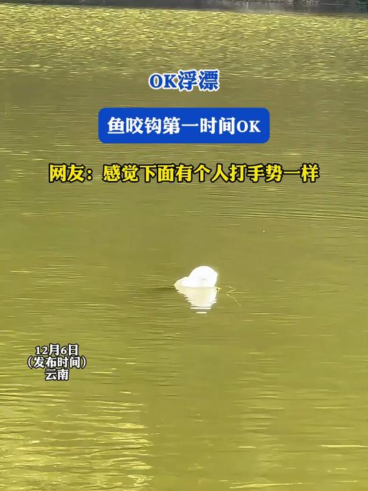 鱼吃饵料浮漂动作(鱼吃饵料浮漂动作图片)