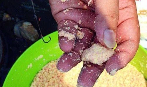 春季钓鲢鳙鱼技巧(海尔冰箱一直嗡嗡响,打开就不响了)