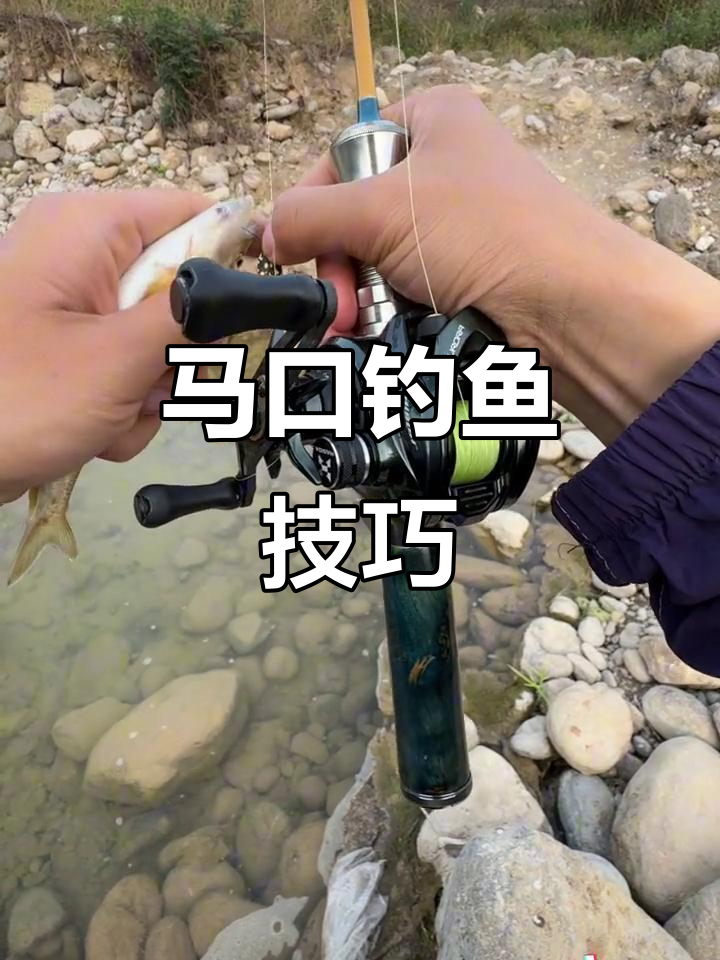 在急流里钓鱼技巧(怎样在急流里钓大鲤鱼)