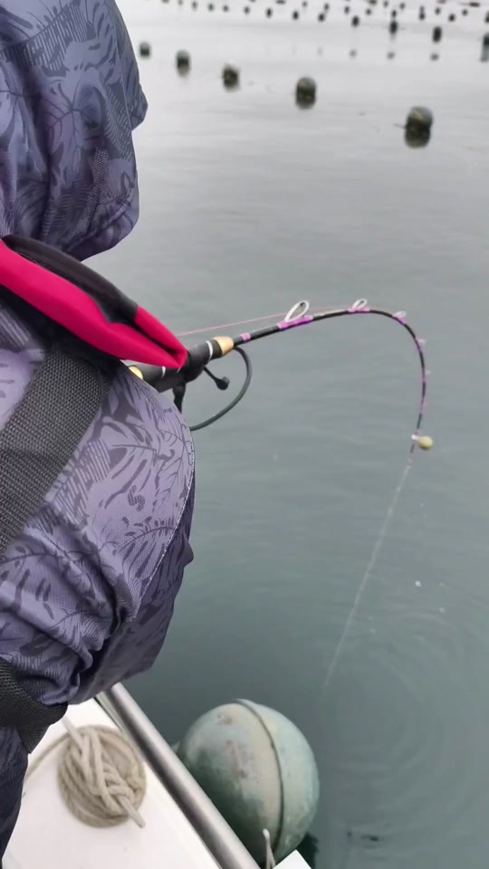 去獐子岛海钓(獐子岛海钓鱼种)