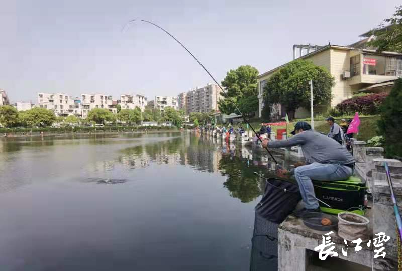 秋季长江钓鱼技巧(秋季江钓用什么鱼饵)