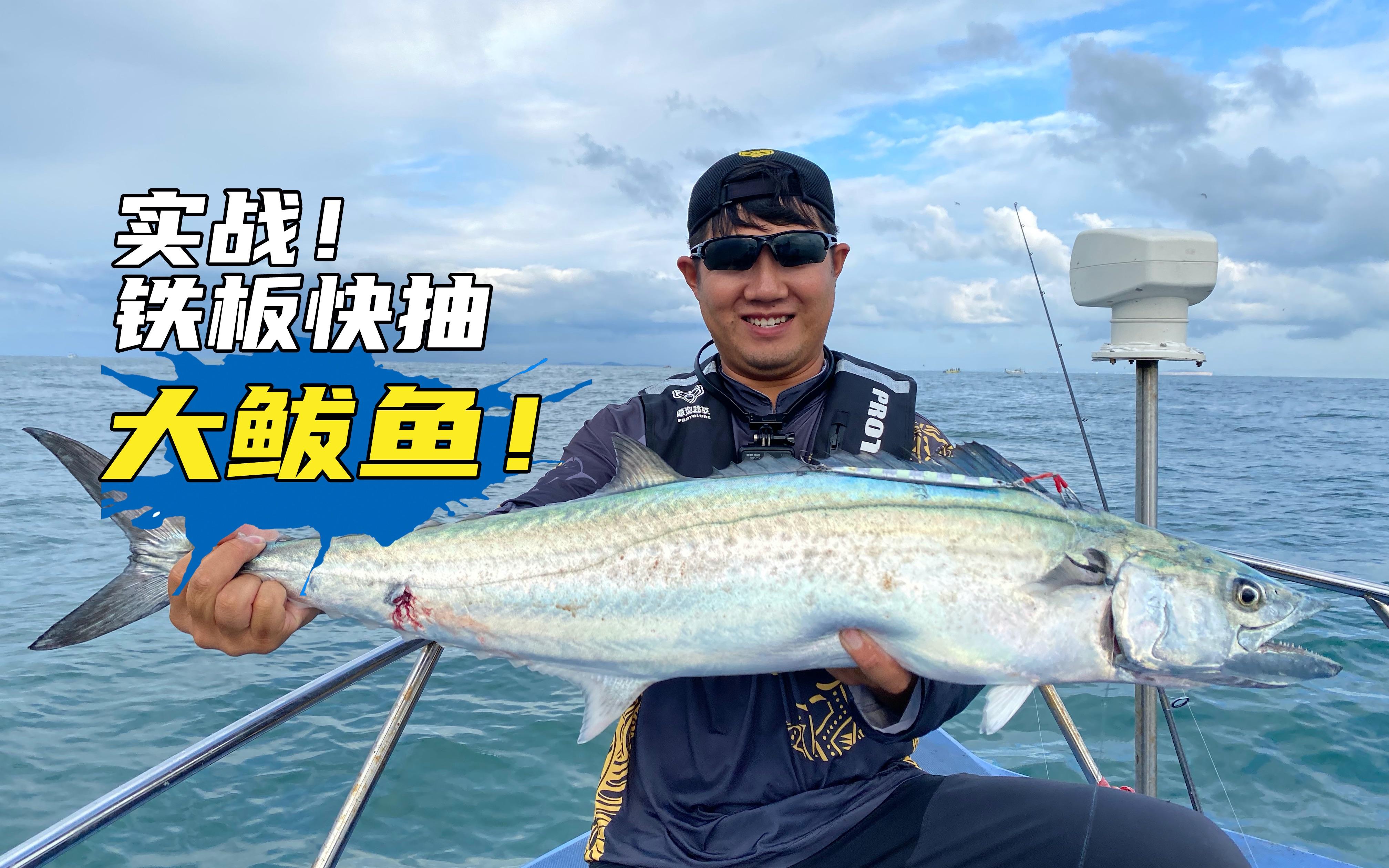 青岛海钓香帅(青岛海钓好去处)