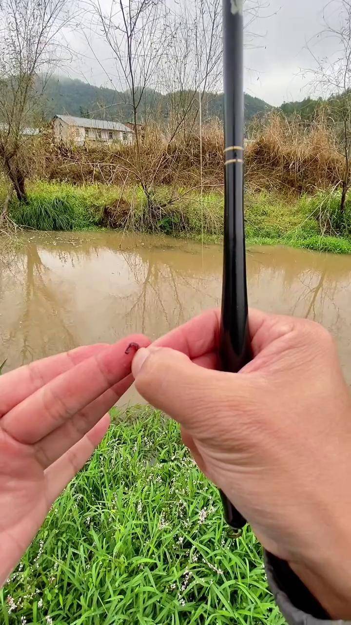 浑水中钓鱼技巧(浑水里能钓到鱼吗)