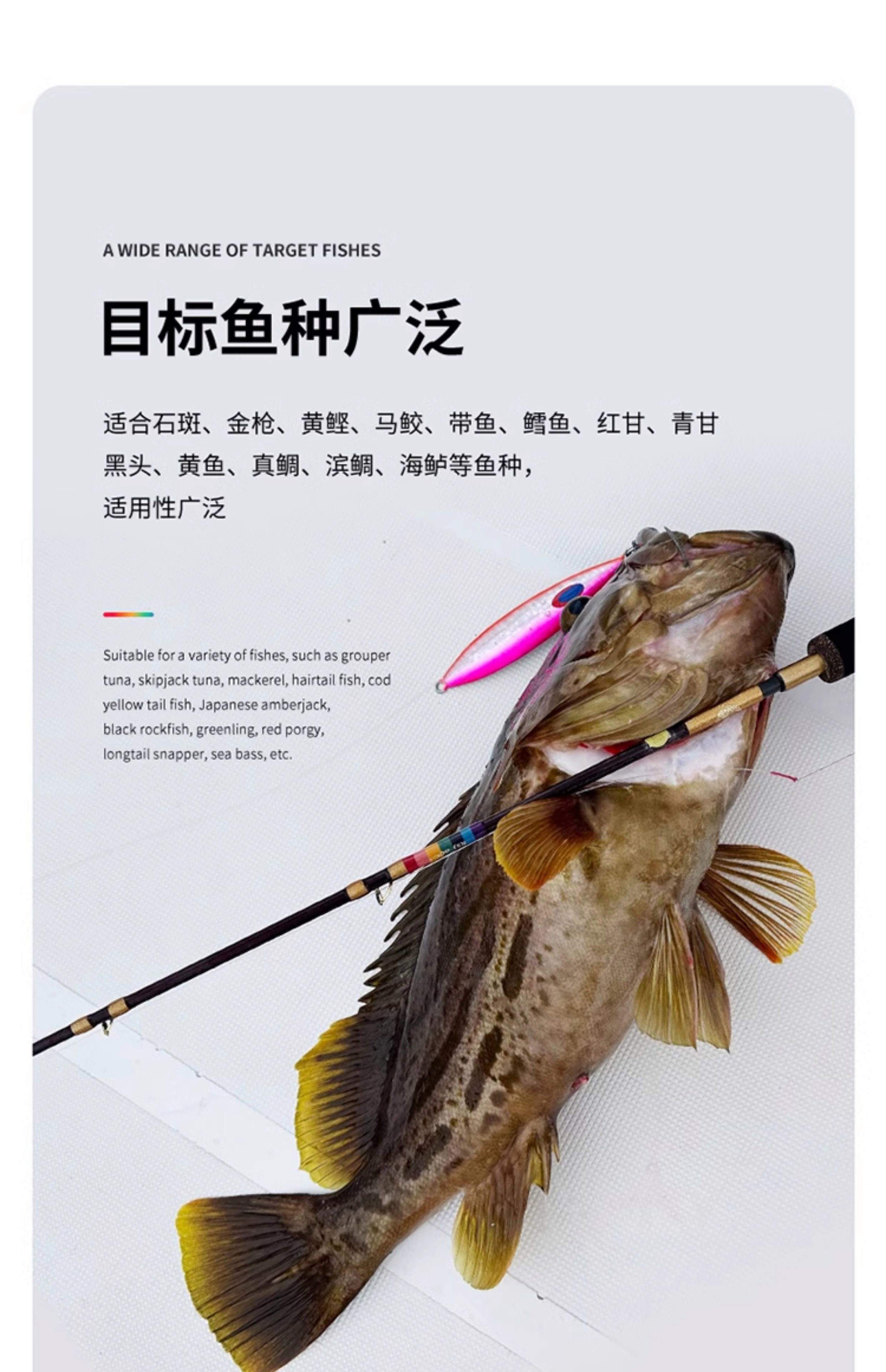 海钓铁板路亚杆(路亚钓铁板怎样的手法) 海钓铁板路亚杆(路亚钓铁板怎样的手法)