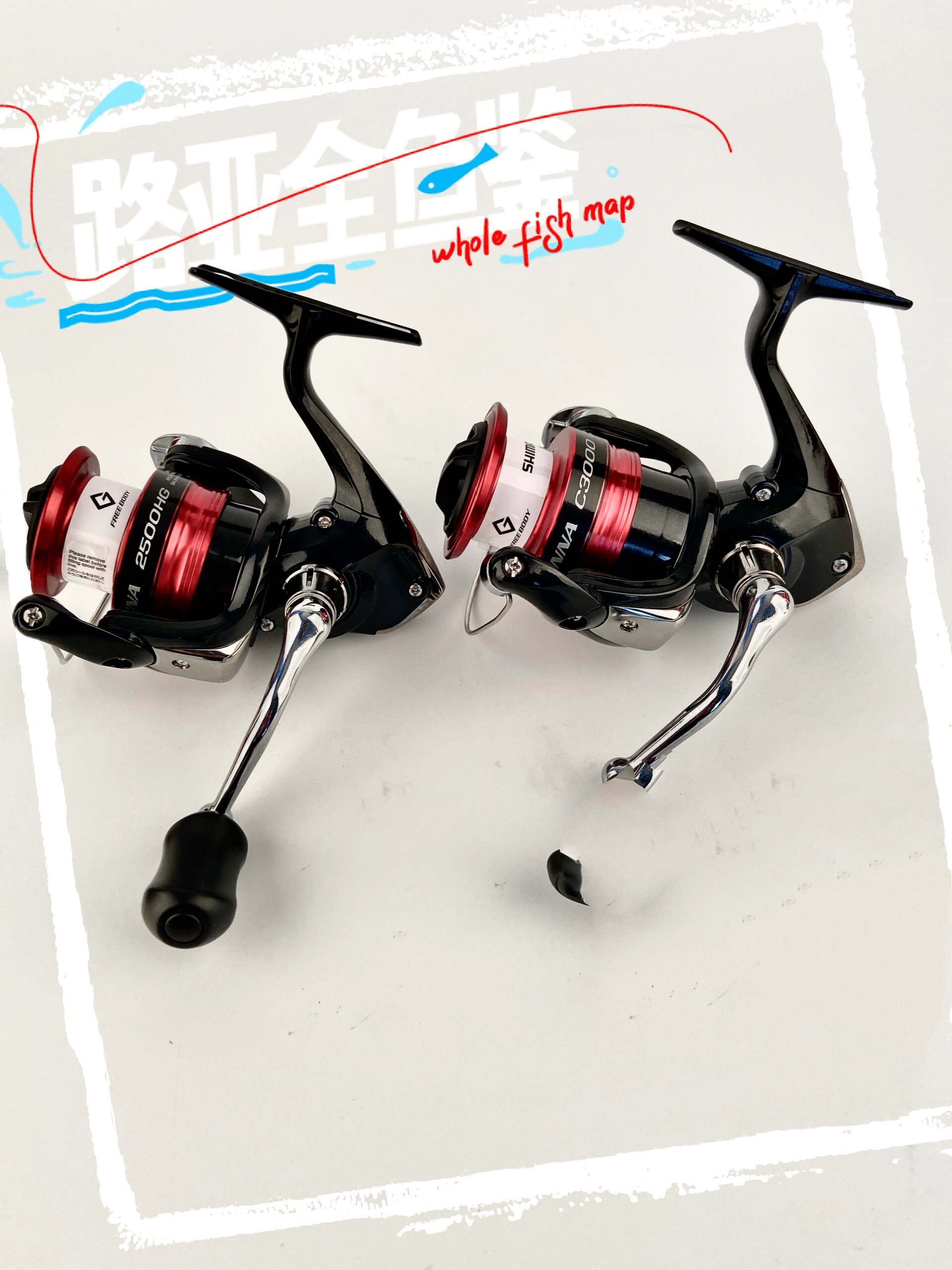 合肥禧玛诺渔具(禧玛诺渔具中国官网)