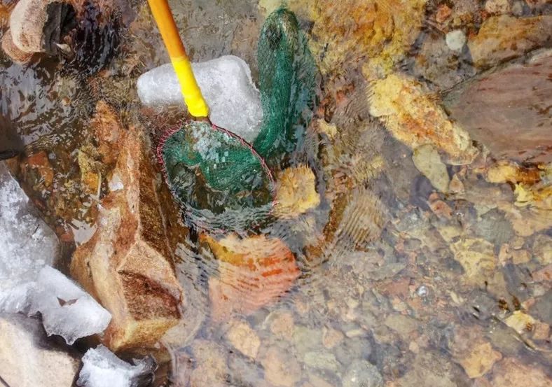 关于大坑抓蛤蟆技巧的信息 关于大坑抓蛤蟆技巧的信息