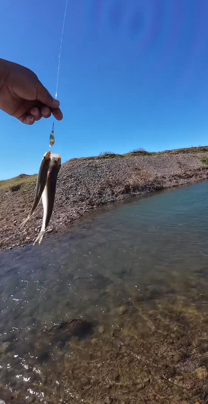河水混浊路亚(浑浊的水域如何用路亚饵)