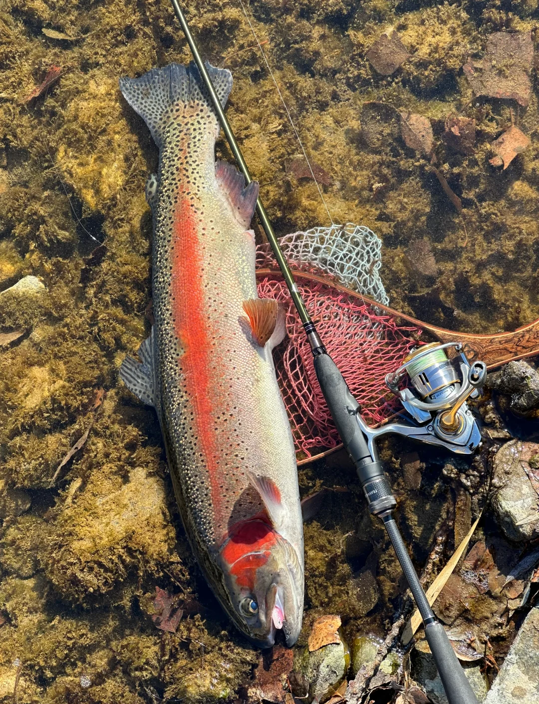 路亚要看潮汐(路亚大潮适合路亚嘛)