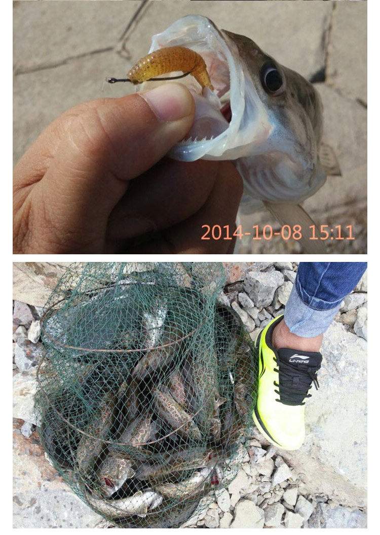 路亚卷尾蛆(路亚卷尾蛆使用方法) 路亚卷尾蛆(路亚卷尾蛆使用方法)