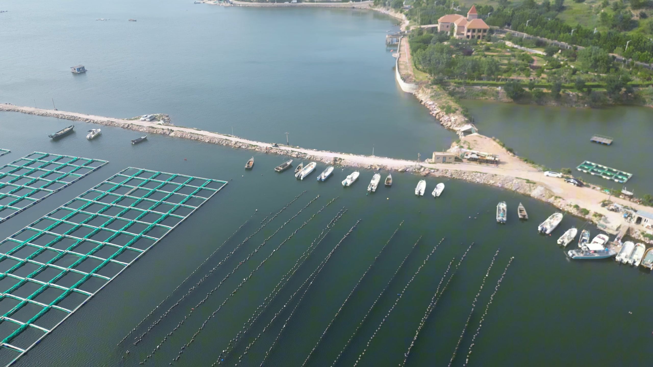 山东哪玩海钓最好(山东哪玩海钓最好玩的地方)