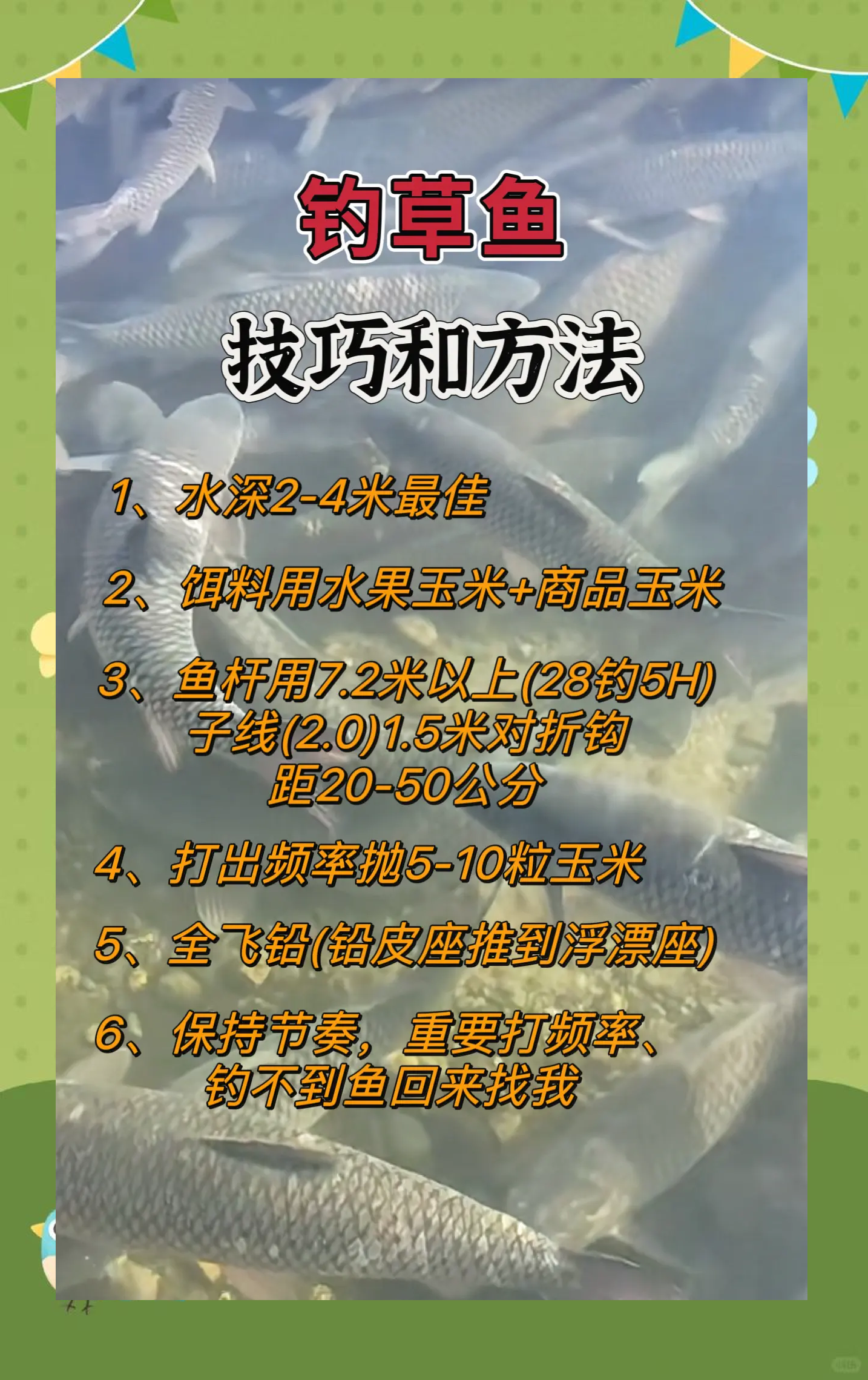 冬天草洞钓鱼技巧(冬天草洞钓鱼技巧和方法)