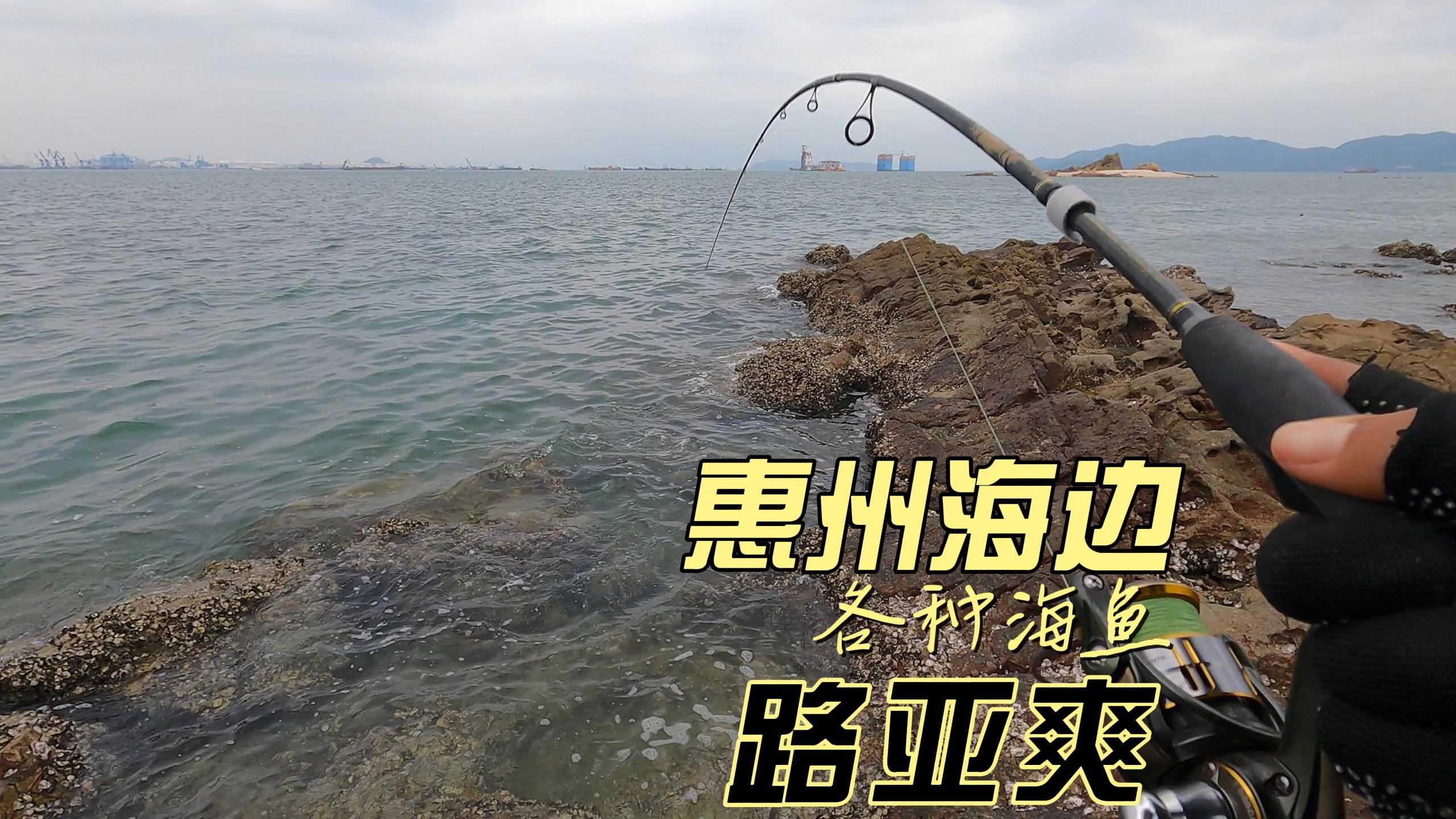 路亚大海钓鱼(路亚在海里钓什么鱼) 路亚大海钓鱼(路亚在海里钓什么鱼)