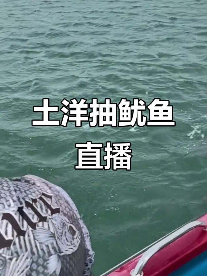 抽鱿鱼技巧(抽鱿鱼用多长的竿)