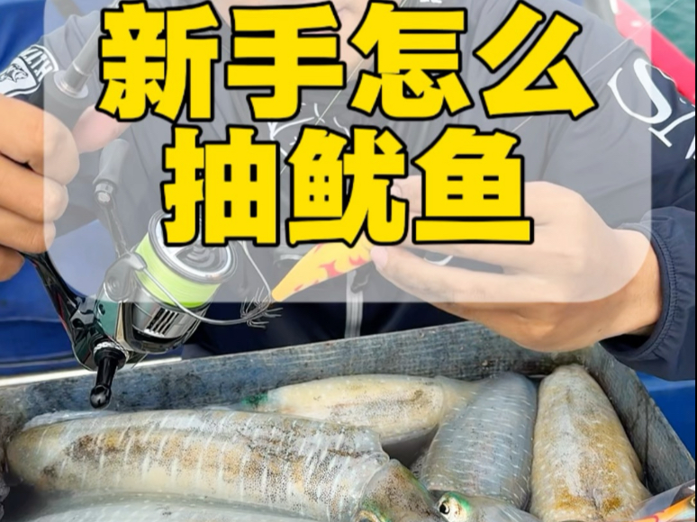 抽鱿鱼技巧(抽鱿鱼用多长的竿)