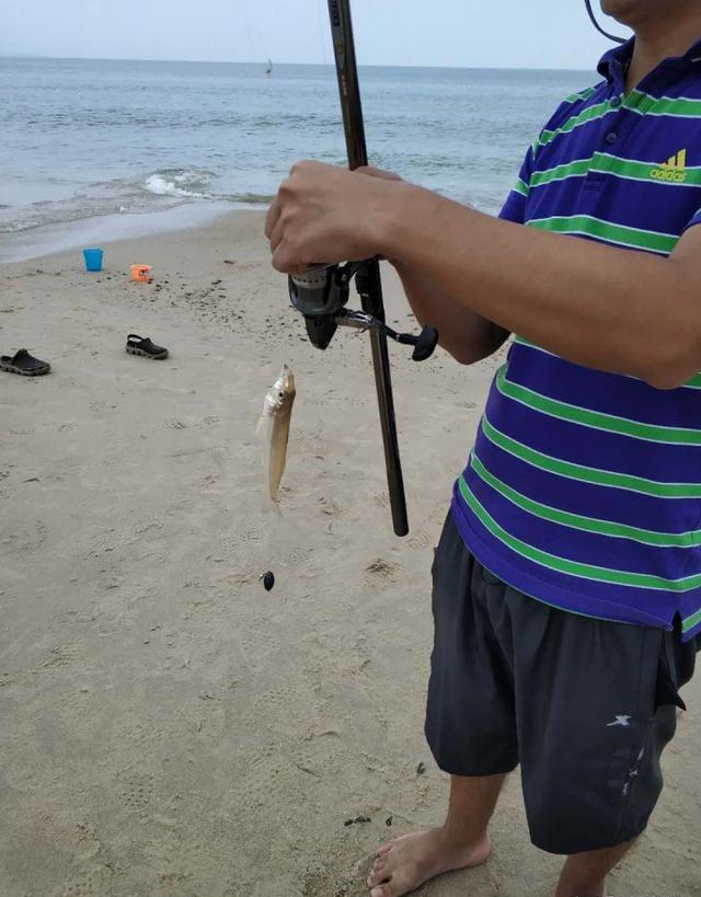 锦州海钓几月开始(锦州海钓几月开始打窝)