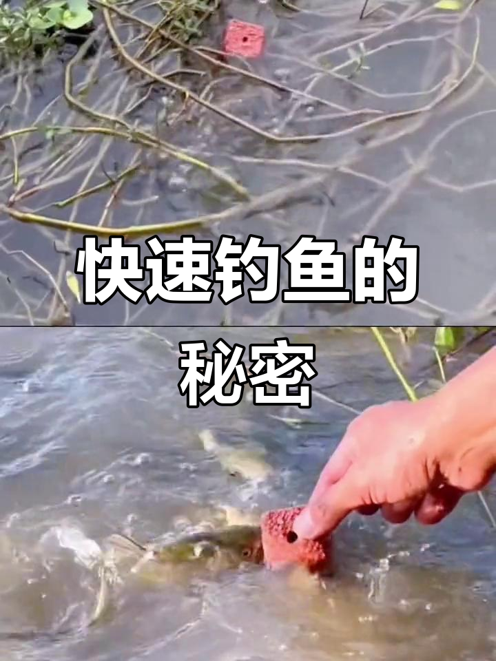 抛竿流水中打窝技巧(抛竿流水中打窝技巧是什么)