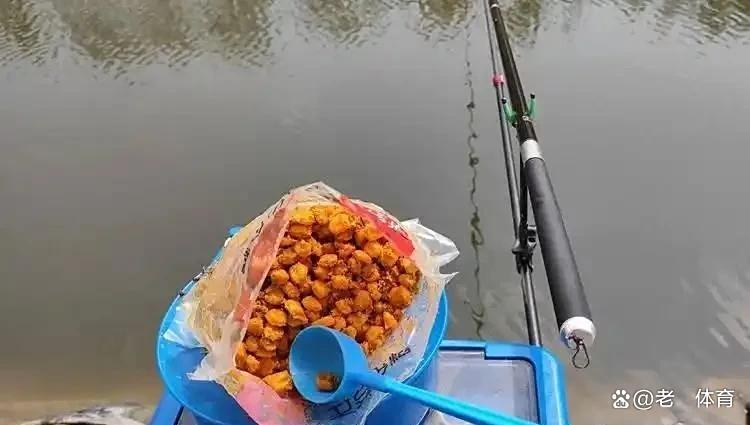 抛竿流水中打窝技巧(抛竿流水中打窝技巧是什么)